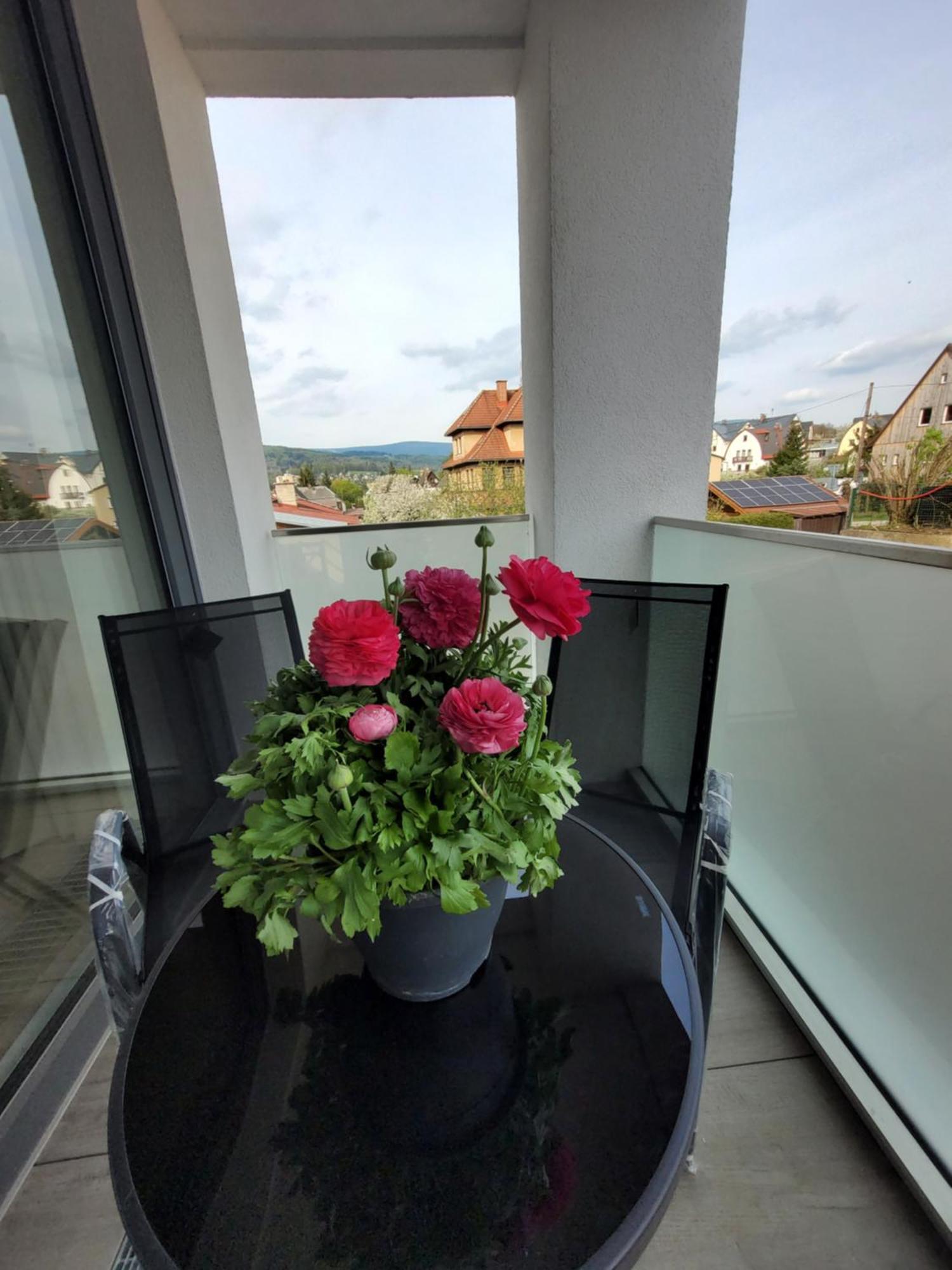 Apartman Bohemika Deluxe Vrchlabí Kültér fotó